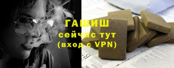 гидра Абаза