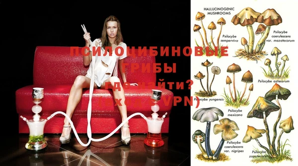 эйфоретик Абдулино