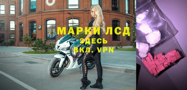 гидра Абаза