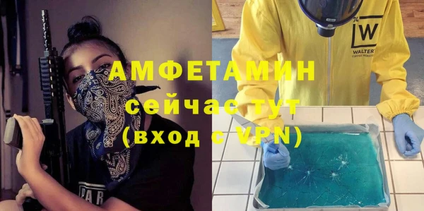 гидра Абаза